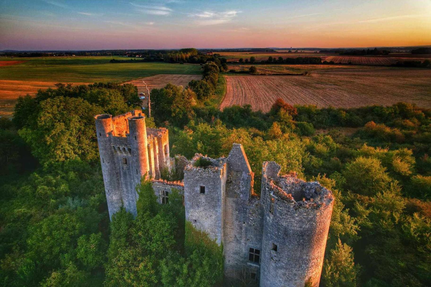 Le Domaine Du Chateau Varennes-les-Narcy エクステリア 写真