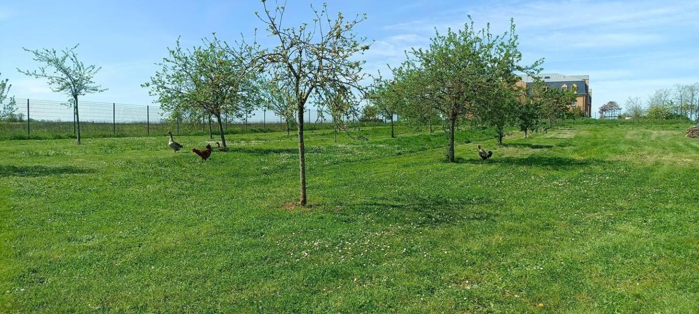 Le Domaine Du Chateau Varennes-les-Narcy エクステリア 写真
